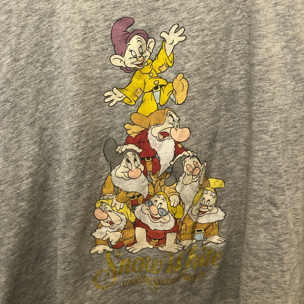 Disney Snow White and The Seven Dwarfs Crop Top
